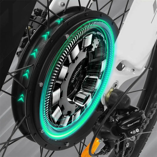 1,000W Motor for Seagull E-Bike by Ecotric