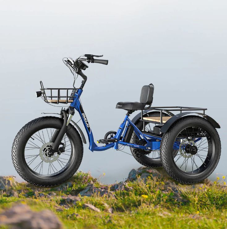 Emojo Bull Trail 750W Ultra Low Frame Electric Tricycle