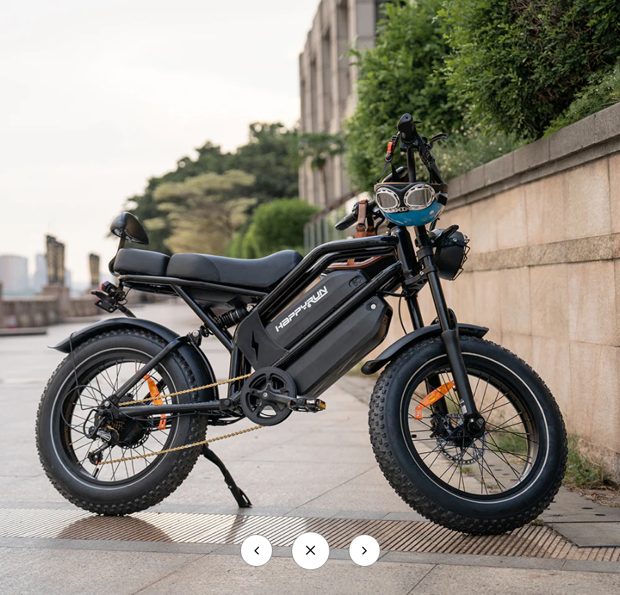 HappyRun G70 Single Motor Dual-Battery Electric Cargo Bike