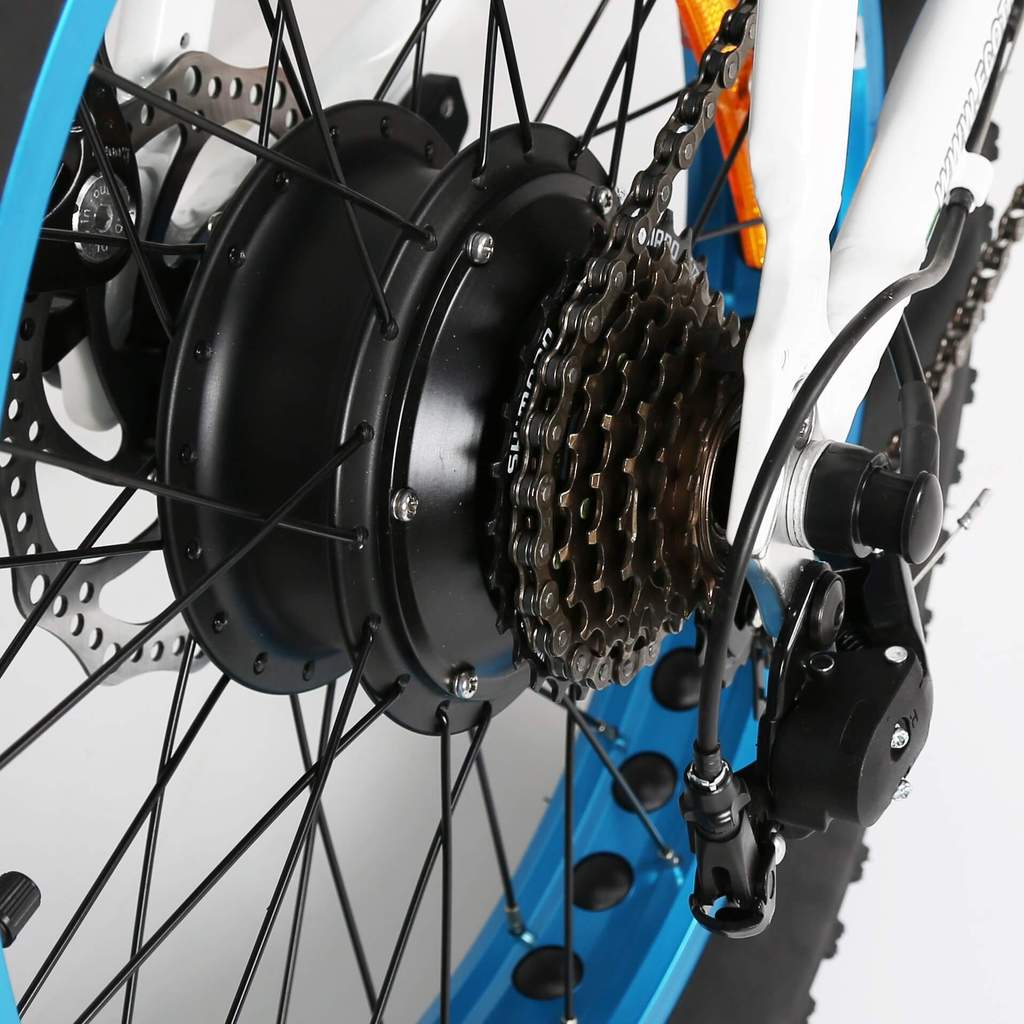 Fat Tire Portable and Folding Electric Bike,Snow, Gravel 36v 20810 - Ecotric PowerSport