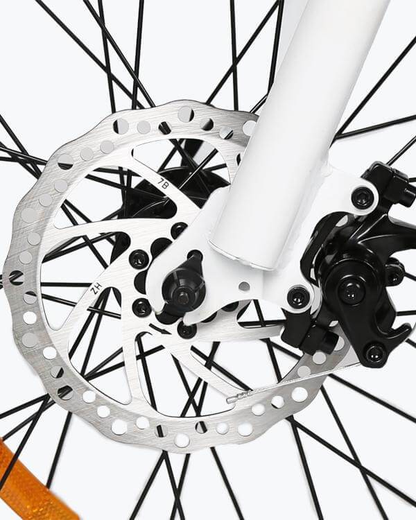 Fat Tire Portable and Folding Electric Bike,Snow, Gravel 36v 20810 - Ecotric PowerSport