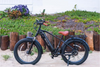 Emojo Hurricane Pro 750W Electric Bike: The Ultimate Ride for Adventure Enthusiasts