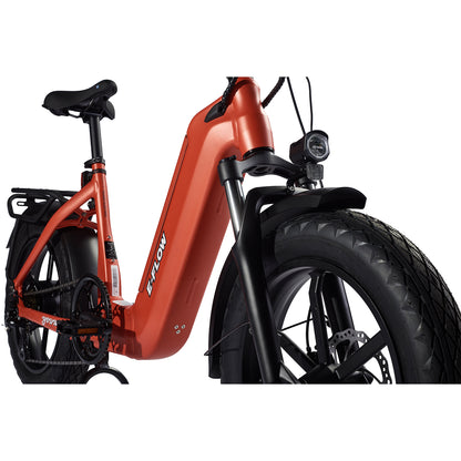 E-Flow 750W 48V 20in All Terrain Fat Tire Folding E-Bike by Young Electric