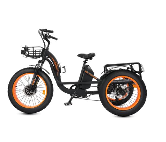 Ecotric 750w 48v Electric Tricycle with Front Basket + Rear Rack