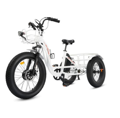 Ecotric 750w 48v Electric Tricycle with Front Basket + Rear Rack