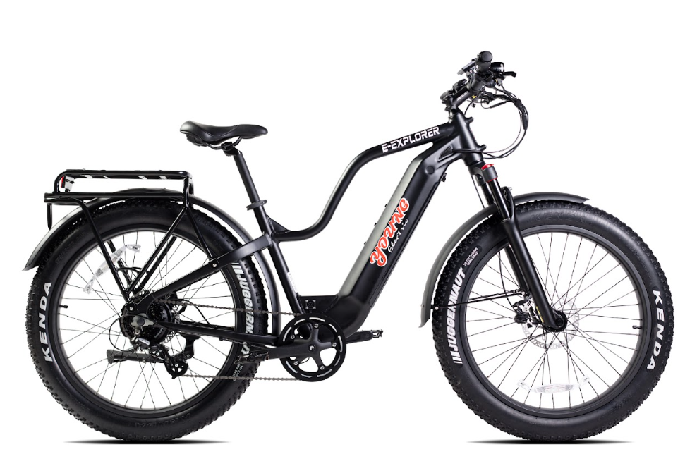 E bikes 1000 online watt