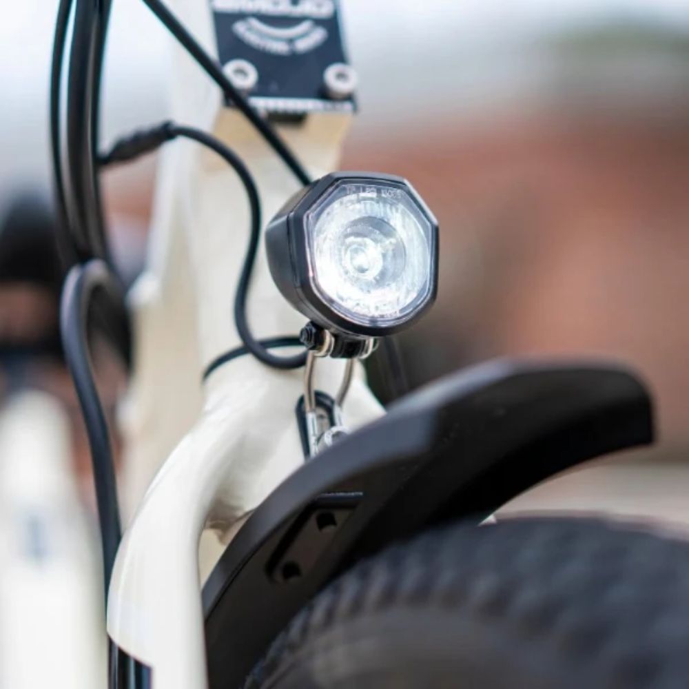 Emojo Bull Urban Cruiser Ultra Low Step-Through 500W Electric Tricycle