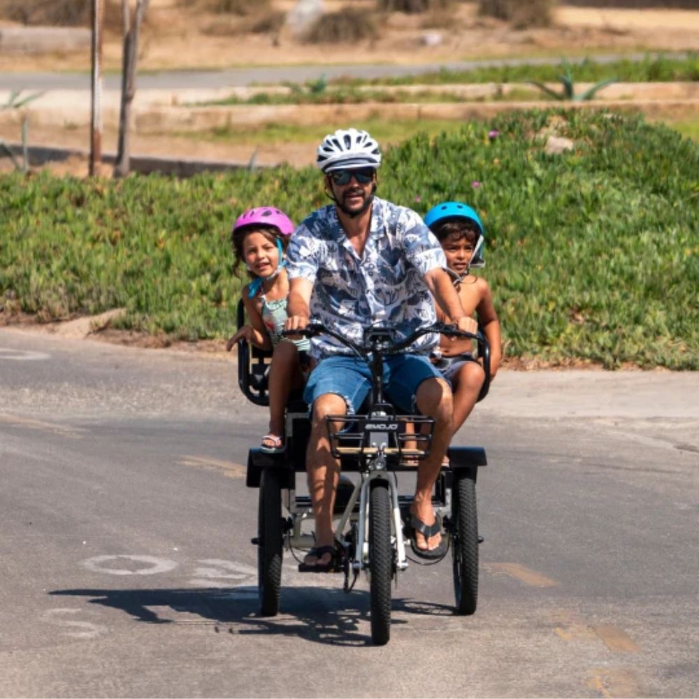 Emojo Bull Urban Cruiser Ultra Low Step-Through 500W Electric Tricycle