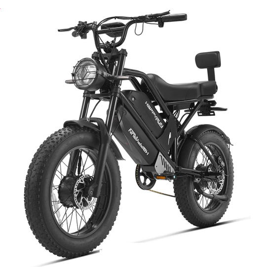 HappyRun G70 Single Motor Dual-Battery Electric Cargo Bike