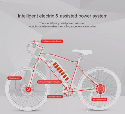 Adult 24" eBike Mountain Fat Tire Electric Bike Bicycle w PAS 36V Battery 560W