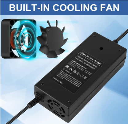 Ecotric E-Bike AC Adapter Battery Charger Starfish Dolphin Peacedove