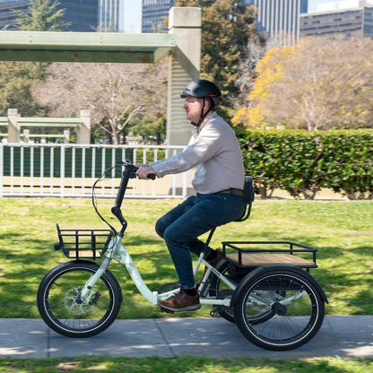 Dexter 7Sp 500W 99% Assembled Folding E-Bike by Emojo