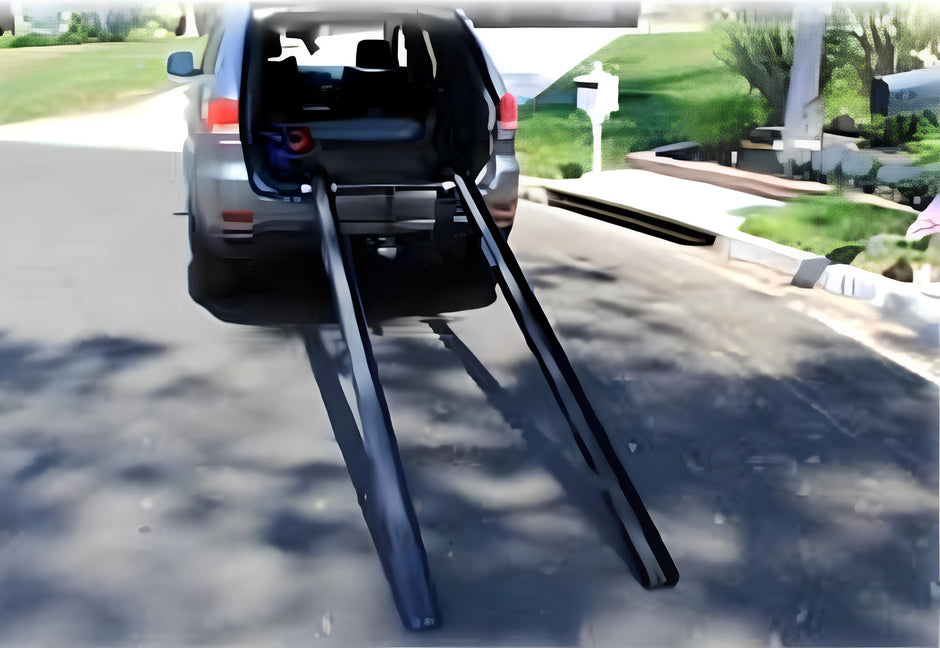 Electric Bike Hitch Racks & Tricycle Carriers, REcumbent Carriers, e ...