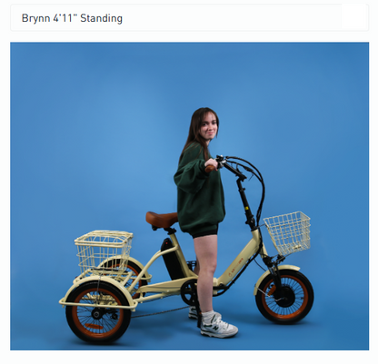 Easy Transit 750w Folding E-Trike by Sixthreezero