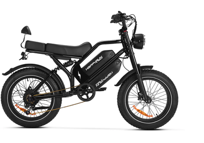 HappyRun G70 Single Motor Dual-Battery Electric Cargo Bike