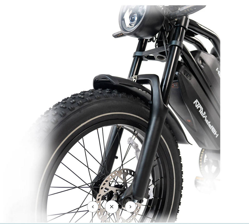 HappyRun G70 Single Motor Dual-Battery Electric Cargo Bike