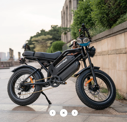 HappyRun G70 Single Motor Dual-Battery Electric Cargo Bike