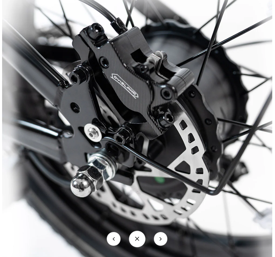 HappyRun G70 Single Motor Dual-Battery Electric Cargo Bike