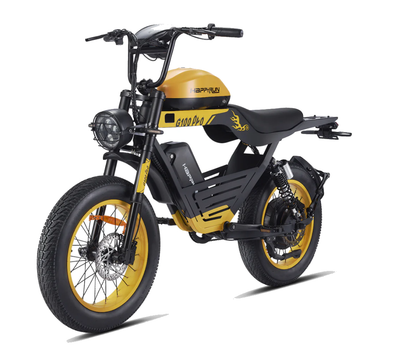 G100 Pro Electric Bike Dual Battery Long Range