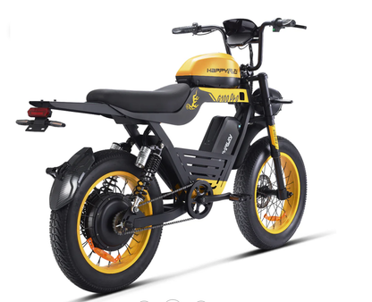 G100 Pro Electric Bike Dual Battery Long Range