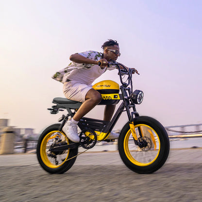 G100 Electric Bike 2000W Dual Battery Long Range