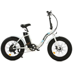 UL Certified-Ecotric Dolphin Portable and Folding Fat Bike