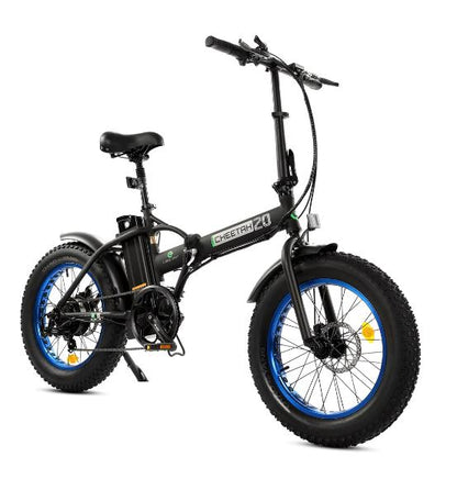 Fat Tire Portable and Folding Electric Bike,Snow, Gravel 36v 20810 - Ecotric PowerSport