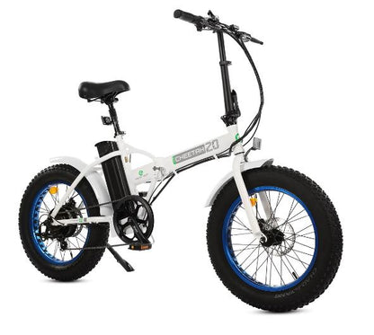 Fat Tire Portable and Folding Electric Bike,Snow, Gravel 36v 20810 - Ecotric PowerSport