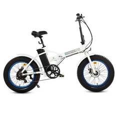 Fat Tire Portable and Folding Electric Bike,Snow, Gravel 36v 20810 - Ecotric PowerSport