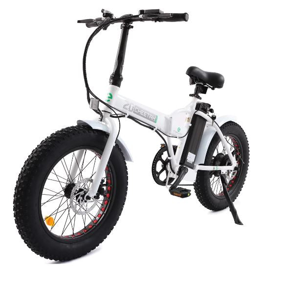 Fat Tire Portable and Folding Electric Bike,Snow, Gravel 36v 20810 - Ecotric PowerSport