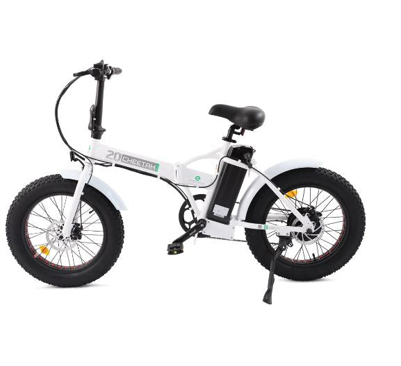 Fat Tire Portable and Folding Electric Bike,Snow, Gravel 36v 20810 - Ecotric PowerSport