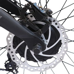 Bison1000w Electric Bicycle 48v Rear Hub Motor