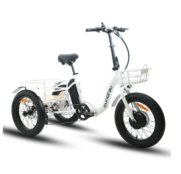 Mantis Tri-Rad Folding Adult Tricycle, 20 in. Wheels, 16 in. Frame