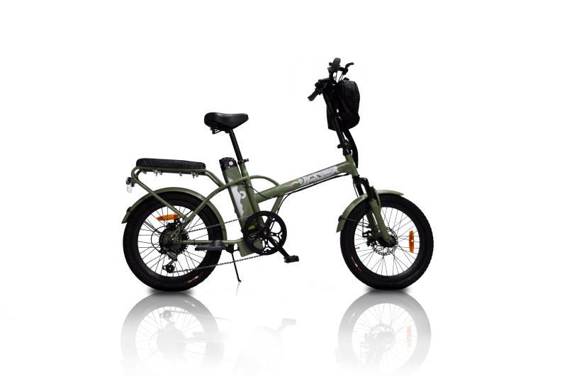 Jager Dune Two Seater Electric Bicycle 350 Motor 36v Battery-GreenBike Electric Motion