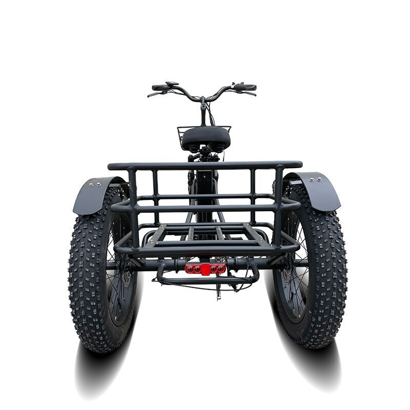 VTUVIA FT-2 Adult Tricycle