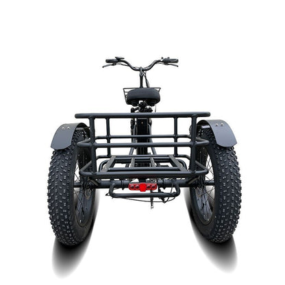 VTUVIA FT-2 Adult Tricycle