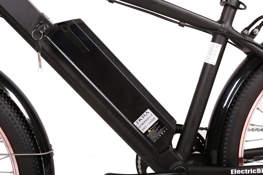 Laguna clearance beach cruiser